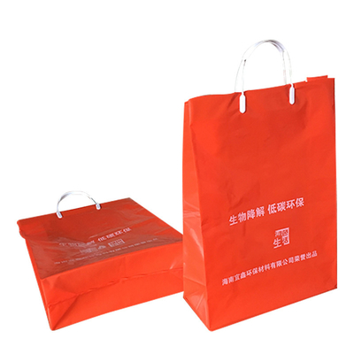 Single- Plastic Bag Find Your Ideal Size and Type Options