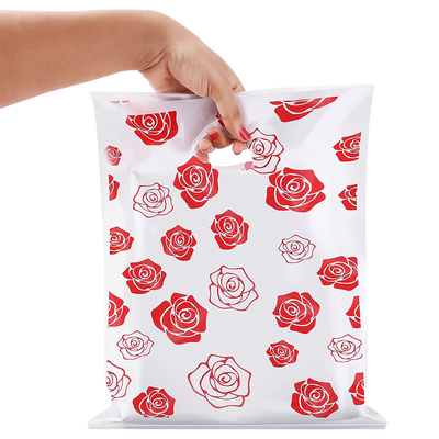 Gravure Printing Flat Pouch Packaging in Customized Size for Efficiency